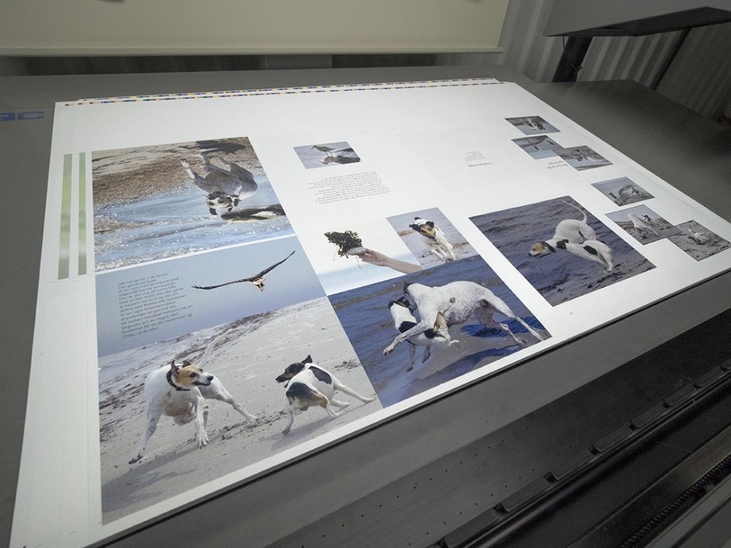 Färgpassning och färghållning är oerhört viktigt för ett perfekt slutresultat. Så här ser ett tryckt ark ut med åtta sidor av bokens fräscha och livfulla hundbilder.